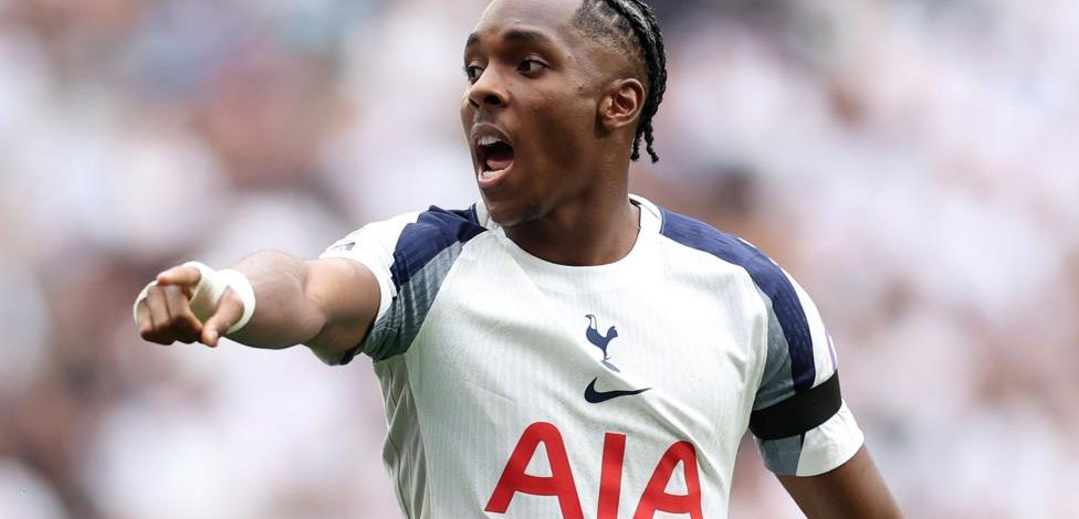 Racist abuse will 'not bring down' Tottenham's Tel