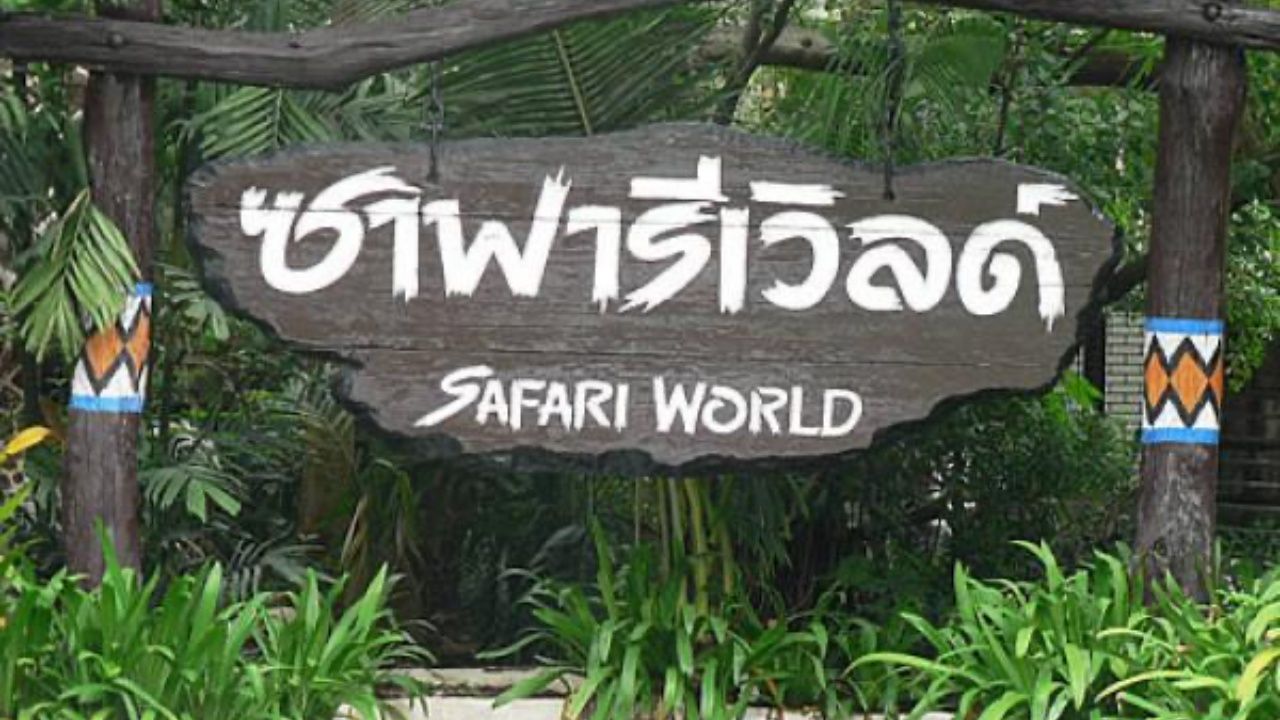 'ซาฟารีเวิลด์' แจ้งเปิดให้บริการตามปกติ ปิดชั่วคราวเฉพาะโซนสัตว์ดุร้าย