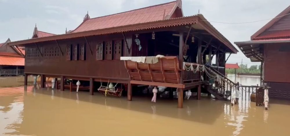 น้ำท่วมอยุธยา ชาวบ้านผวา มีคนเห็น 'จระเข้' โผล่ใต้ถุนบ้าน