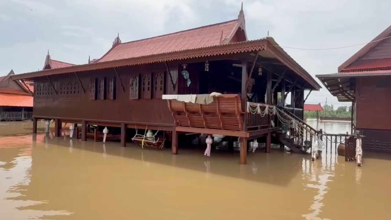น้ำท่วมอยุธยา ชาวบ้านผวา มีคนเห็น 'จระเข้' โผล่ใต้ถุนบ้าน