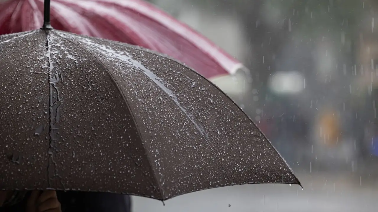 สภาพอากาศวันนี้ ไทยจะมีฝนเพิ่มขึ้น เตือน 4 จังหวัด 'ฝนตกหนักถึงหนักมาก'