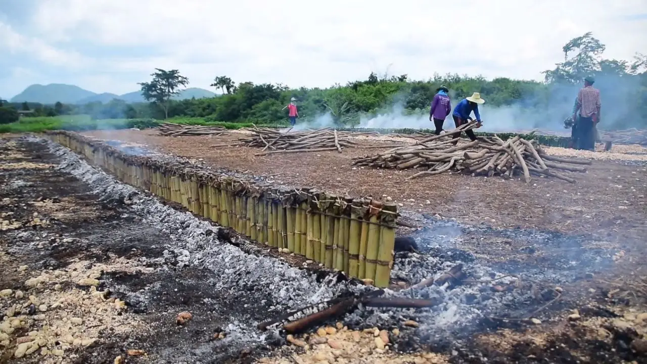 สาธุชนร่วมเผาข้าวหลาม 15,000 กระบอก แจกงานบุญกฐิน แถมได้ 'เลขเด็ด' ลุ้นโชค