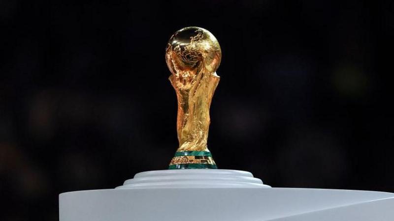 Which teams have qualified for the World Cup and who is on the brink?