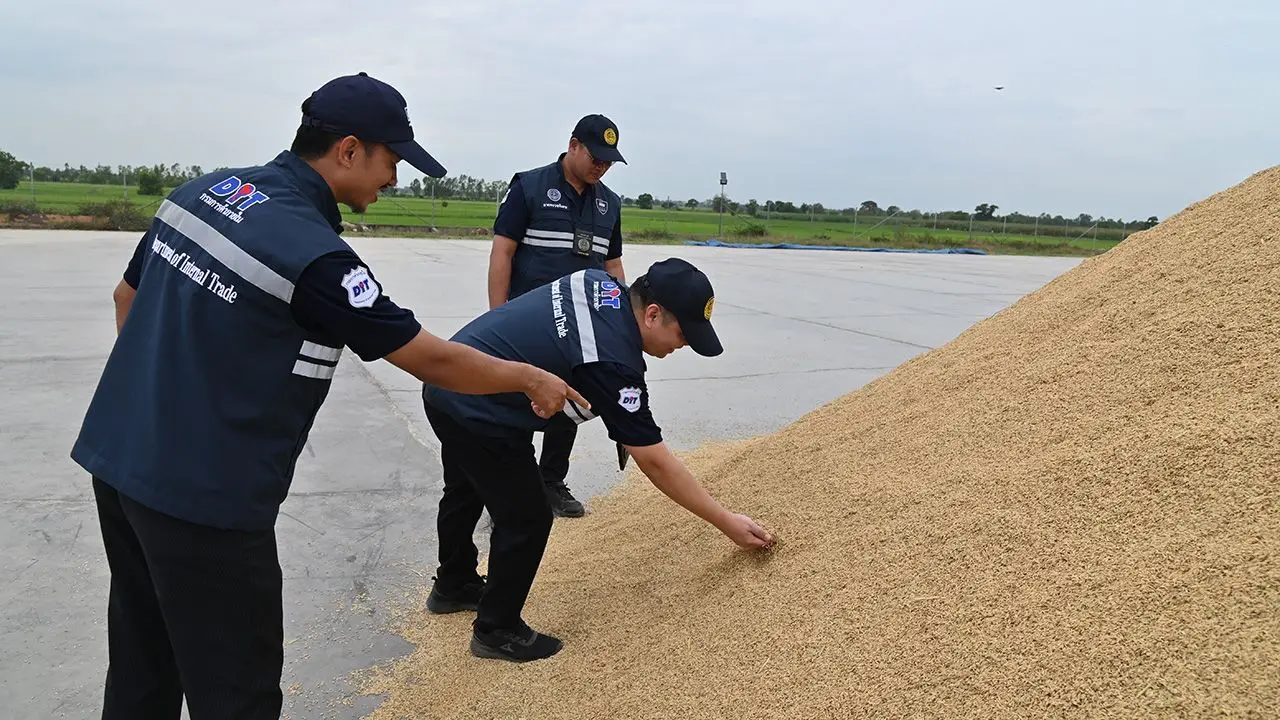 'พาณิชย์' คุมเข้ม ห้ามกดราคาข้าวเหนียวเชียงราย ลุยตรวจเครื่องชั่ง สกัดเอาเปรียบเกษตรกร