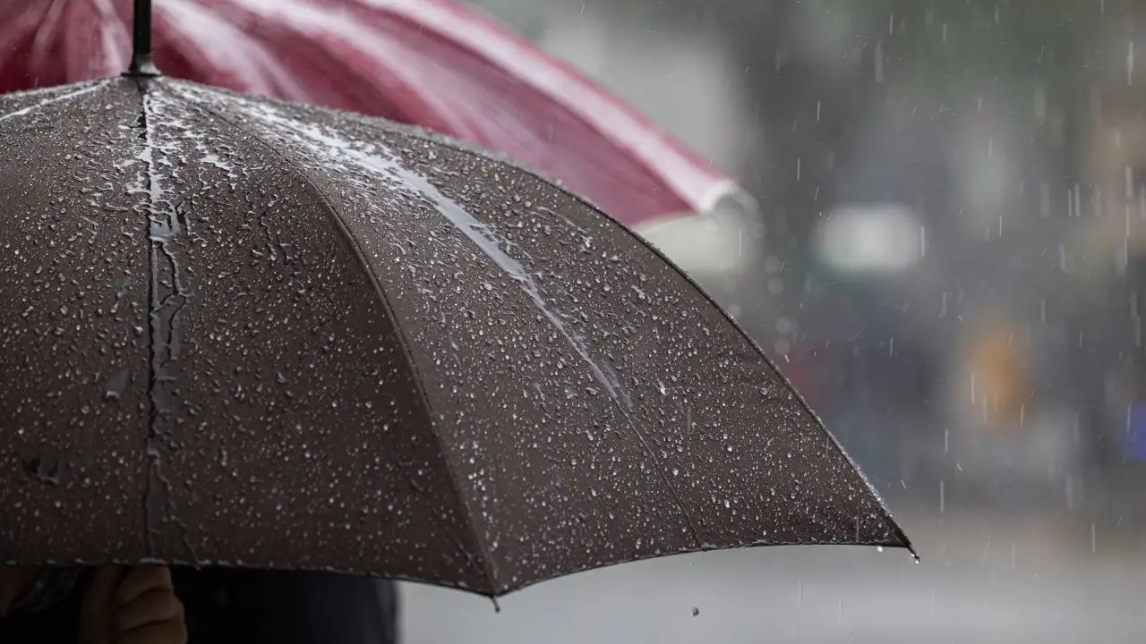 สภาพอากาศวันนี้ อุตุฯ เตือนหลายจังหวัดยังคงมี 'ฝนตกหนัก' โดยเฉพาะ กทม.