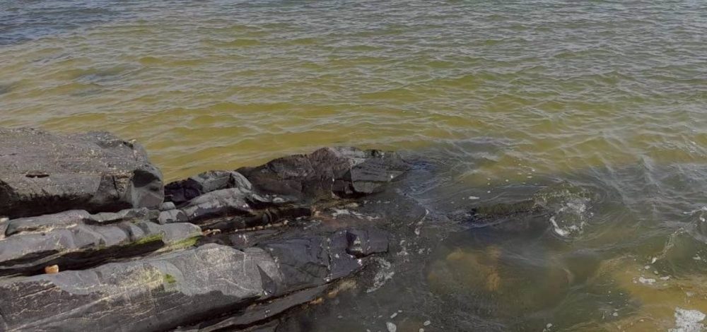 ตรวจสอบแล้ว 'น้ำทะเลเปลี่ยนสี' เป็นสีน้ำตาลที่ จ.สงขลา ศวทล. ยันไม่เป็นอันตราย