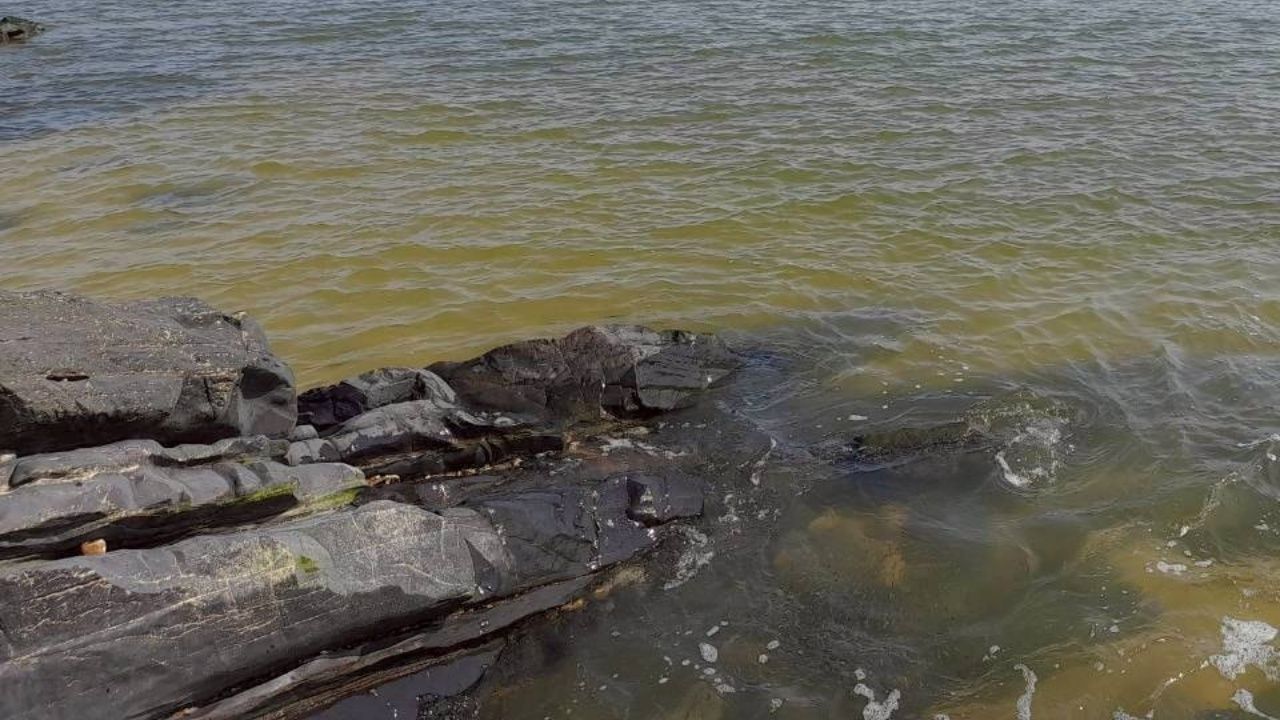 ตรวจสอบแล้ว 'น้ำทะเลเปลี่ยนสี' เป็นสีน้ำตาลที่ จ.สงขลา ศวทล. ยันไม่เป็นอันตราย