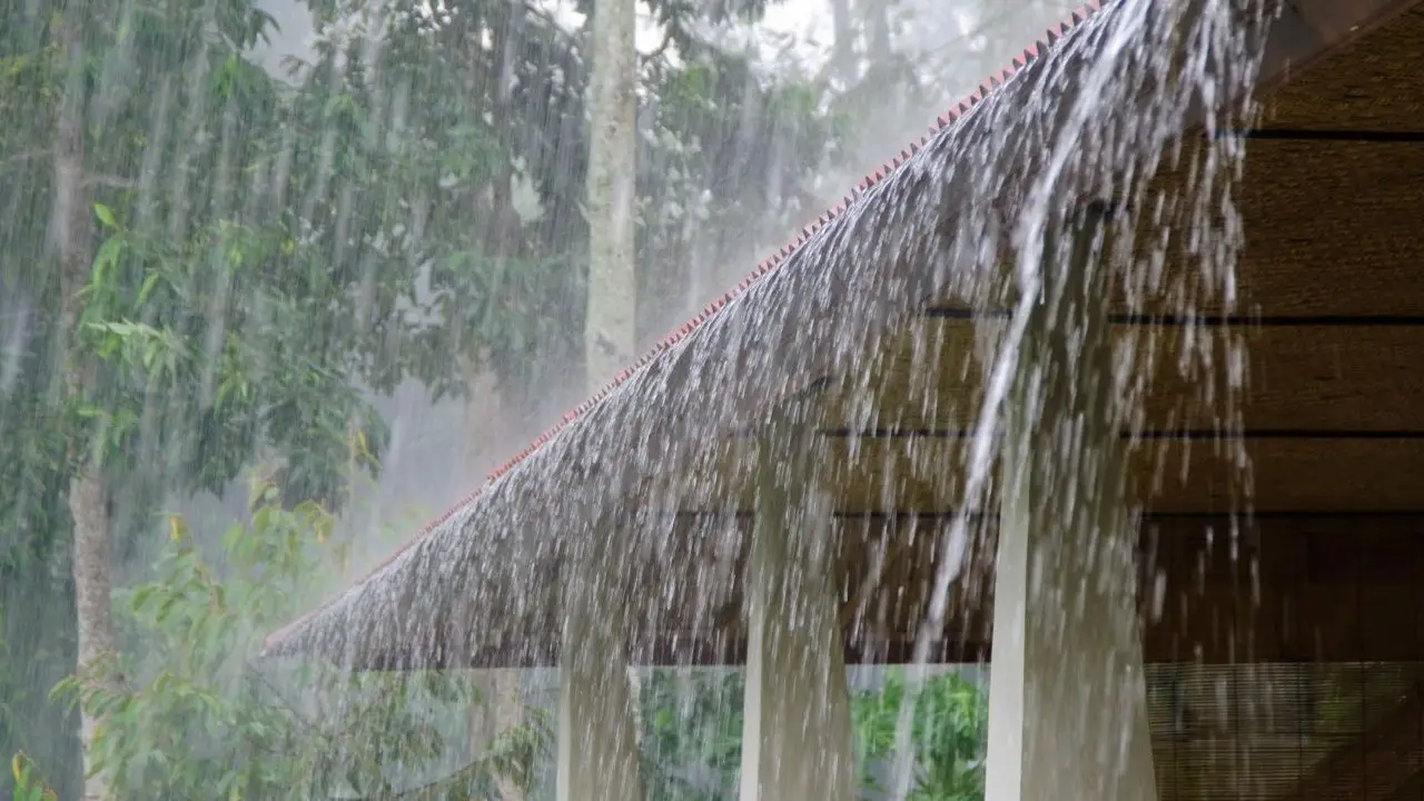ปภ. ส่ง Cell Broadcast แจ้งเตือน 'ฝนตกหนัก' อ.สะบ้าย้อย อ.สะเดา จ.สงขลา