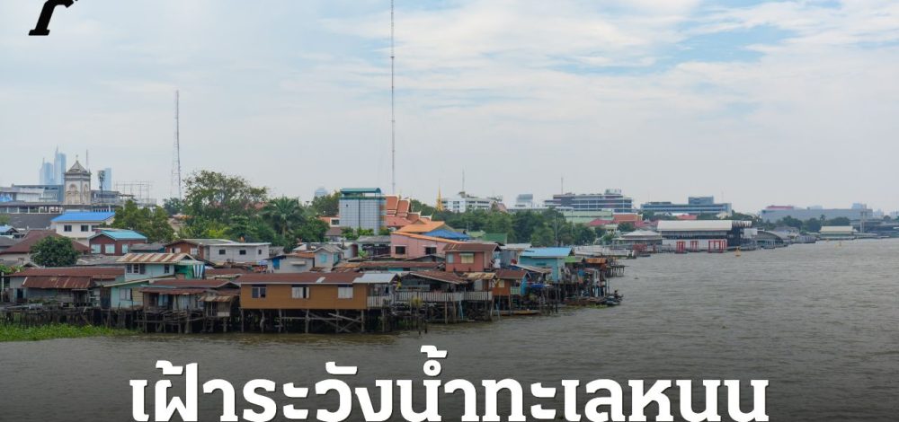 เตือนพื้นที่เฝ้าระวัง 'น้ำทะเลหนุนสูง' จับตาน้ำเค็มรุกล้ำ ช่วง 31 ม.ค. - 4 ก.พ.