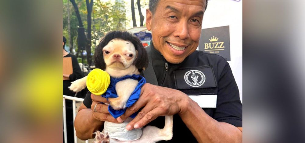 'ผู้ว่าฯ ชัชชาติ' ร่วมเปิดงาน MAJOR DOG DAY ครั้งที่ 4 อีเวนต์น้องหมาสุดยิ่งใหญ่แห่งปี