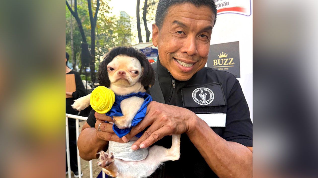 'ผู้ว่าฯ ชัชชาติ' ร่วมเปิดงาน MAJOR DOG DAY ครั้งที่ 4 อีเวนต์น้องหมาสุดยิ่งใหญ่แห่งปี